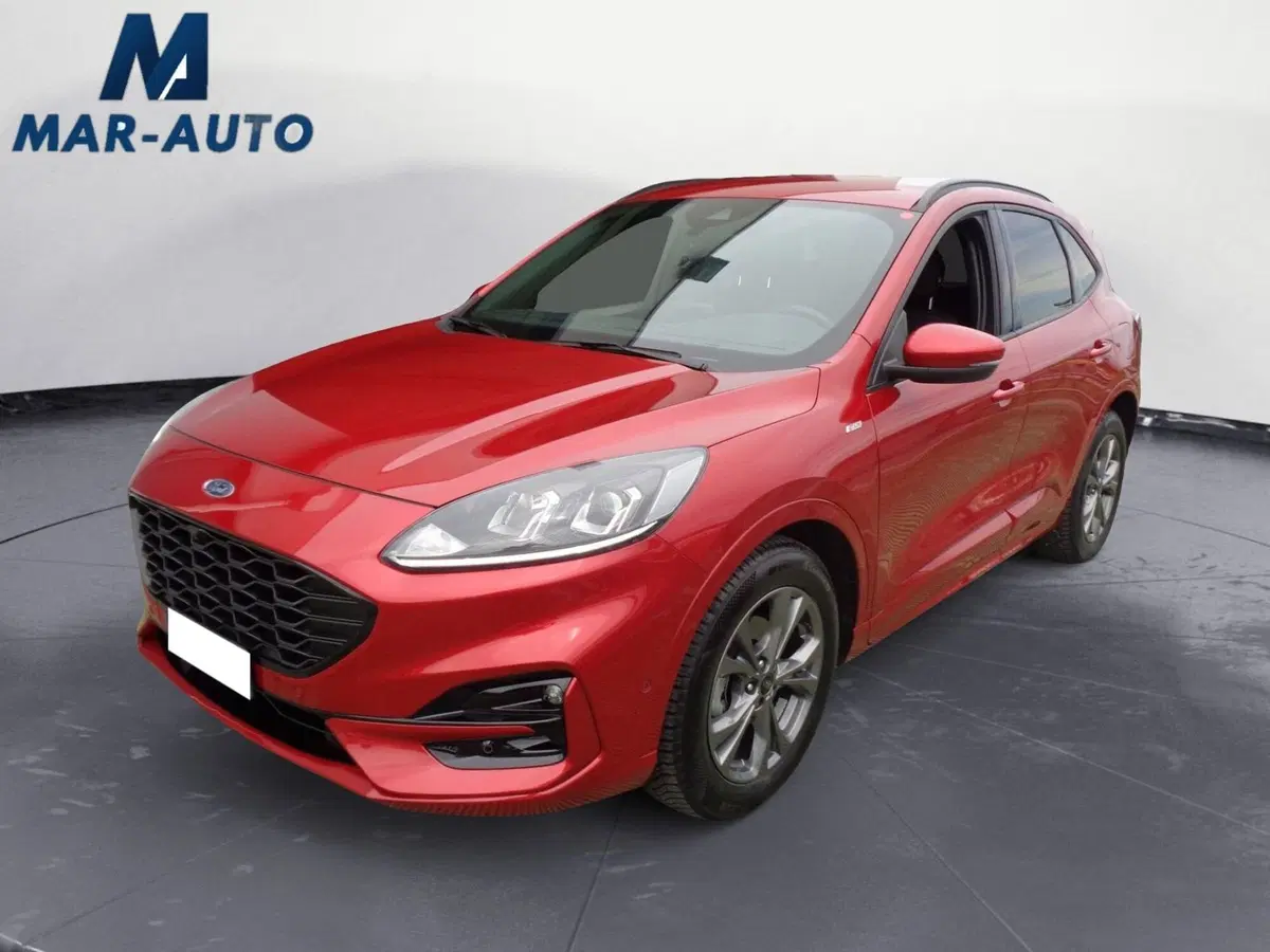 Ford Kuga usata a Belluno