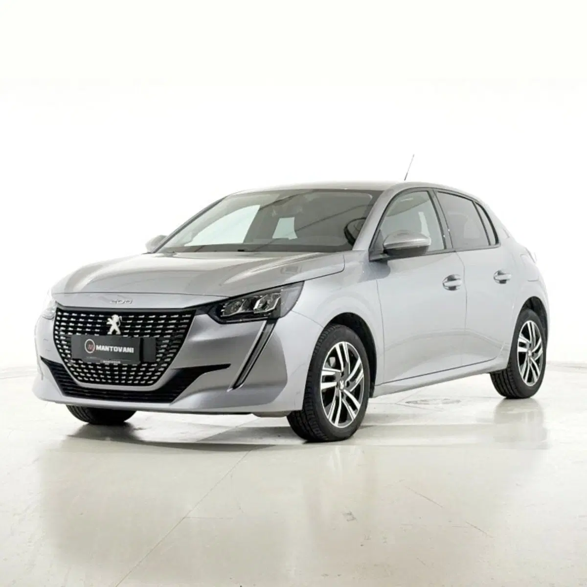 Peugeot 208 usata a Perugia