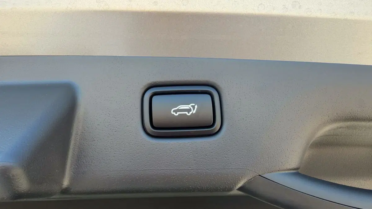 Kia Niro nuova a Vercelli (15)