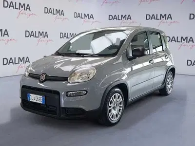 Fiat Panda 1.2 Easy del 2022 usata a Solaro