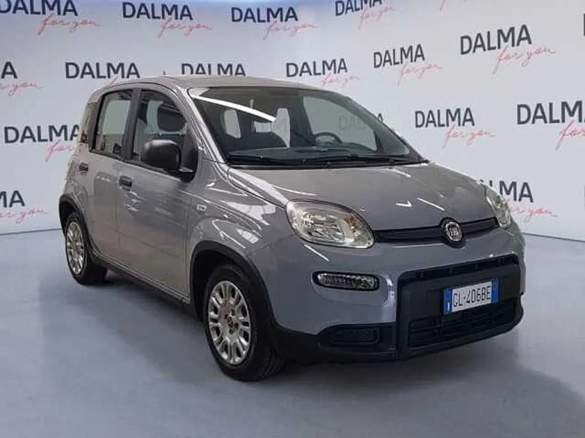 Fiat Panda usata a Milano (7)