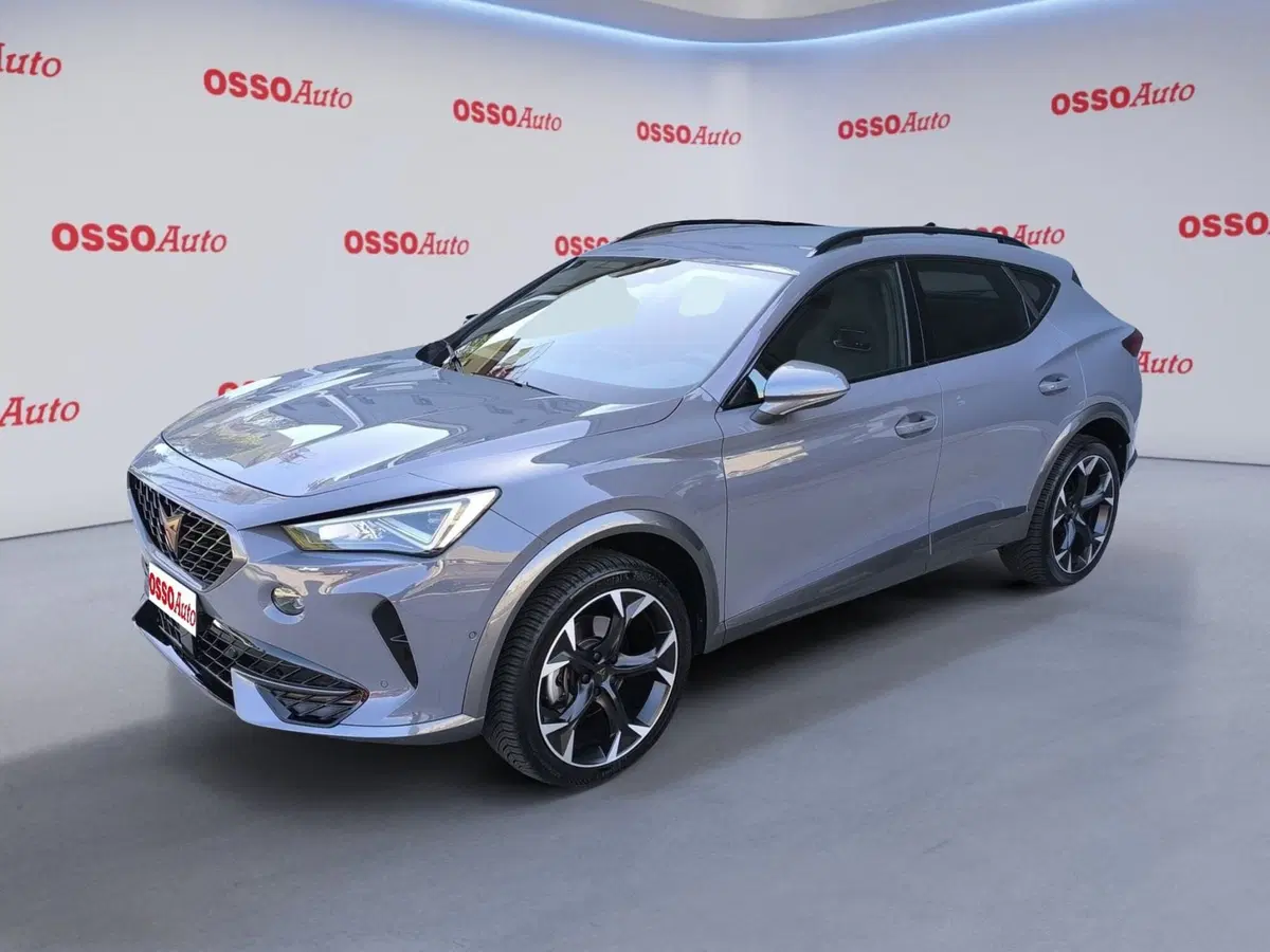 Cupra Formentor usata a Udine