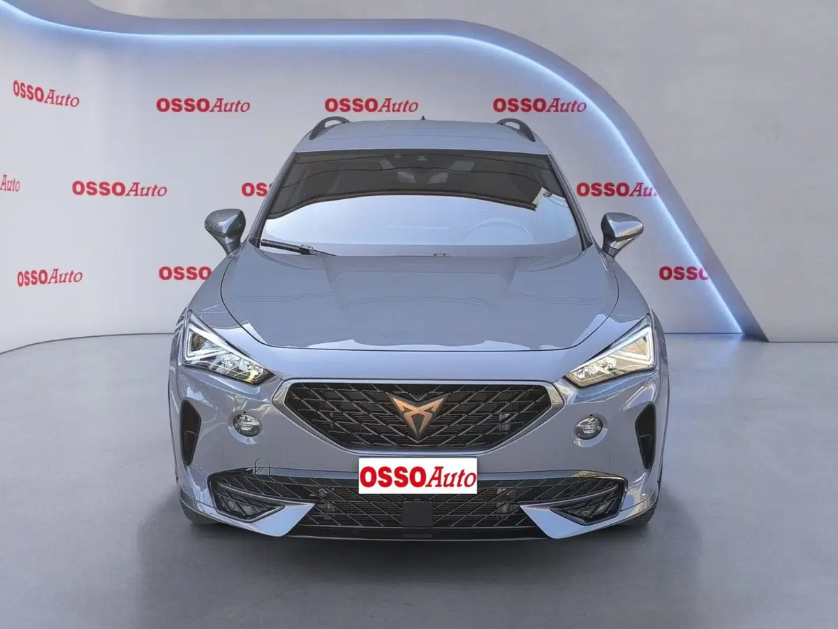 Cupra Formentor usata a Udine (5)