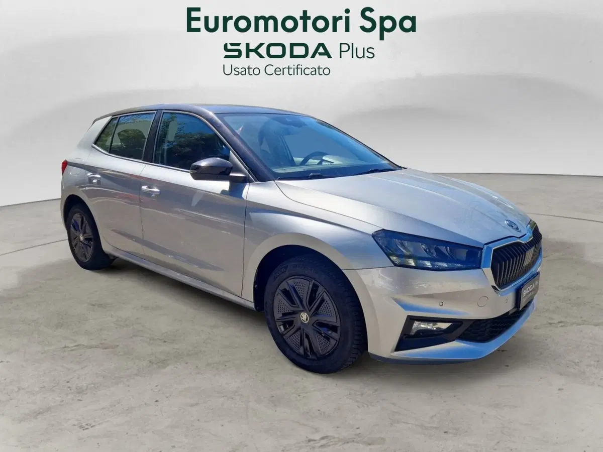 Skoda Fabia usata a Siena (7)