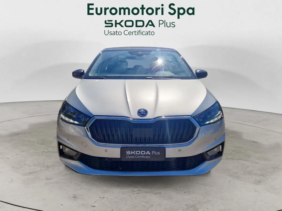 Skoda Fabia usata a Siena (8)