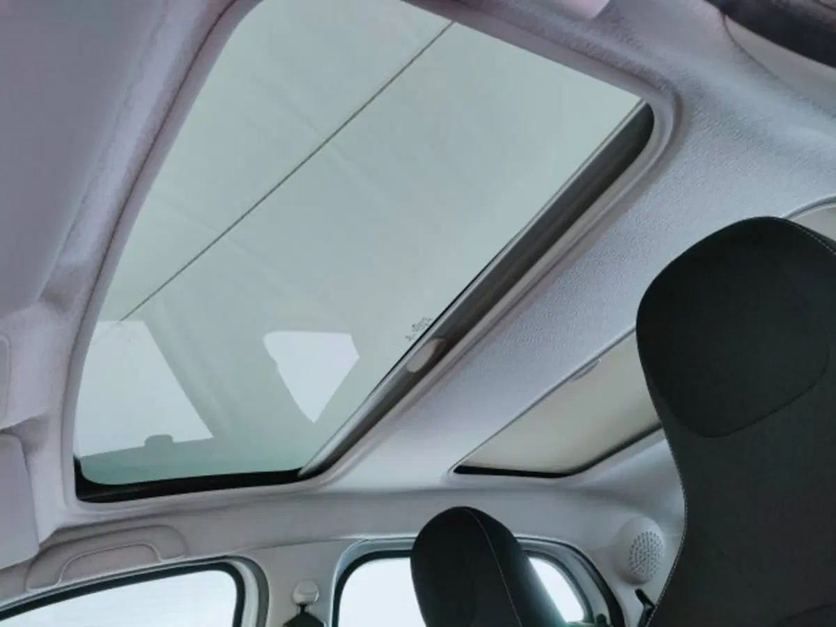 smart forfour usata a Teramo (17)