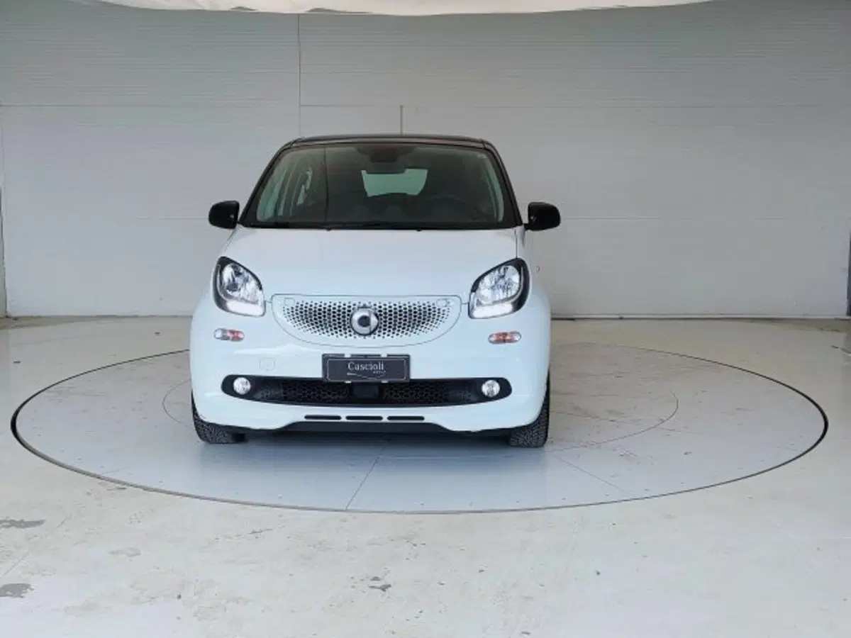 smart forfour usata a Teramo (2)