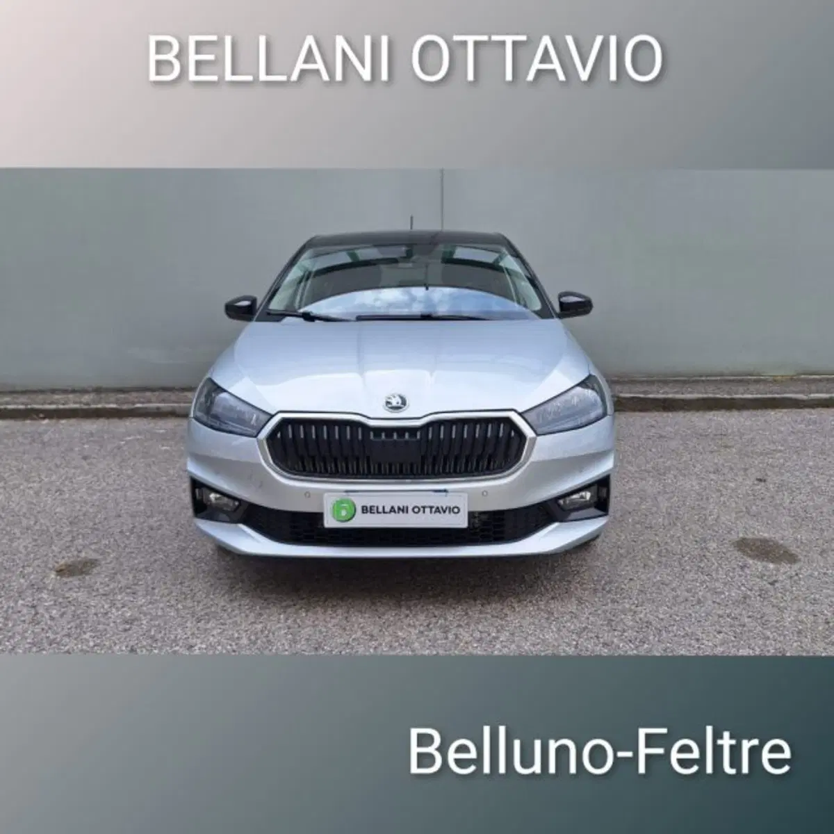 Skoda Fabia usata a Belluno (2)
