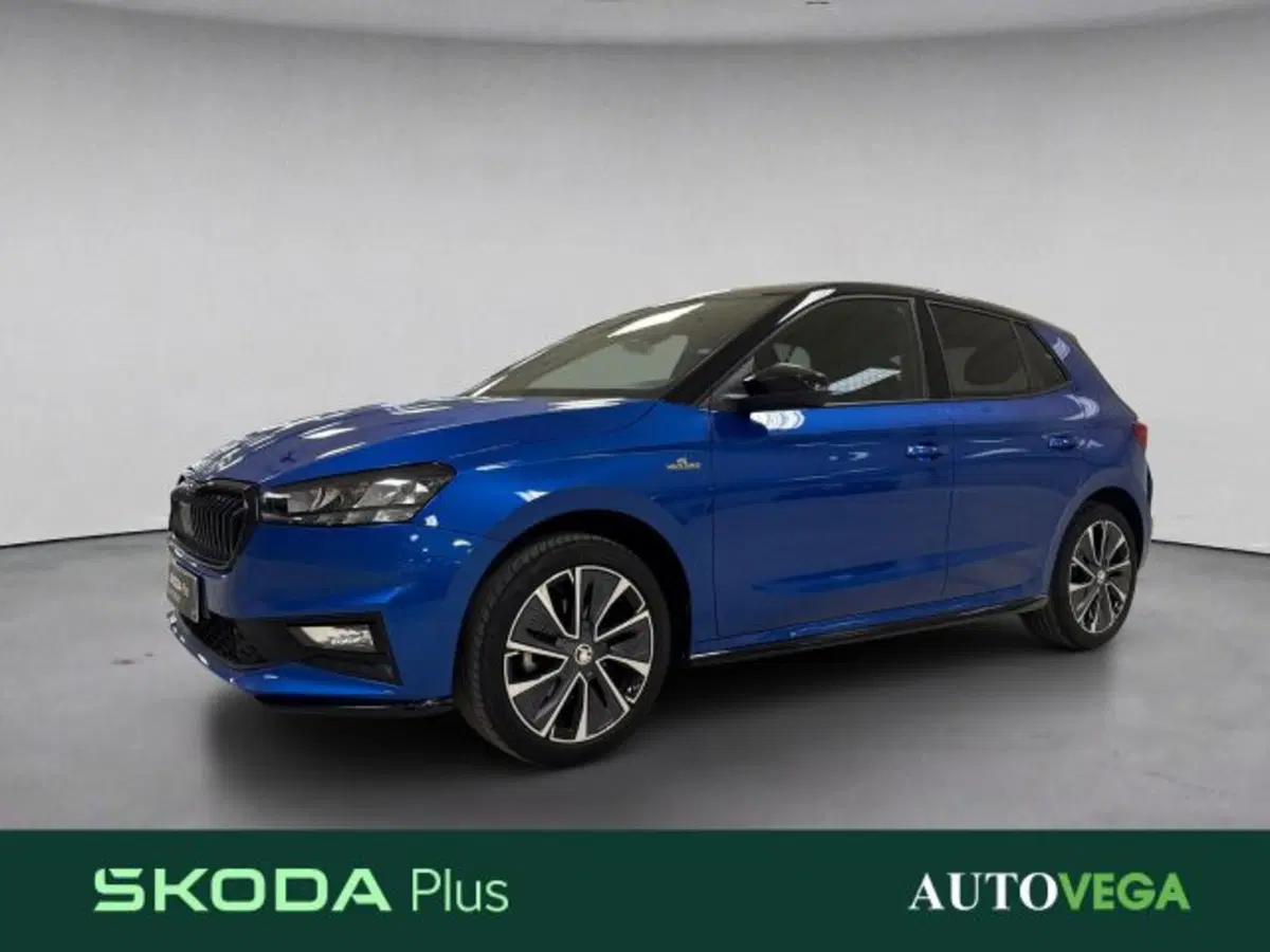 Skoda Fabia usata a Vicenza