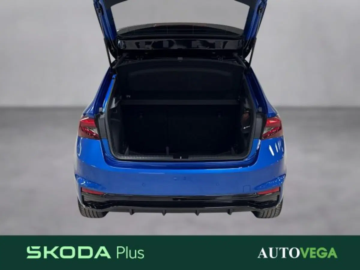 Skoda Fabia usata a Vicenza (17)