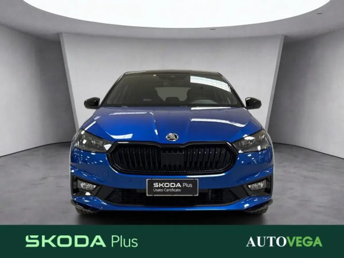 Skoda Fabia usata a Vicenza (2)