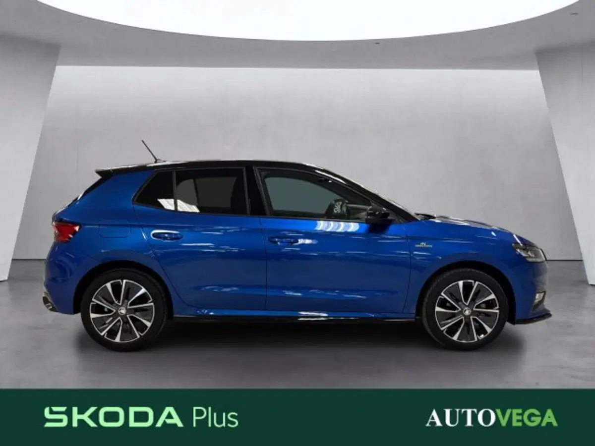 Skoda Fabia usata a Vicenza (3)