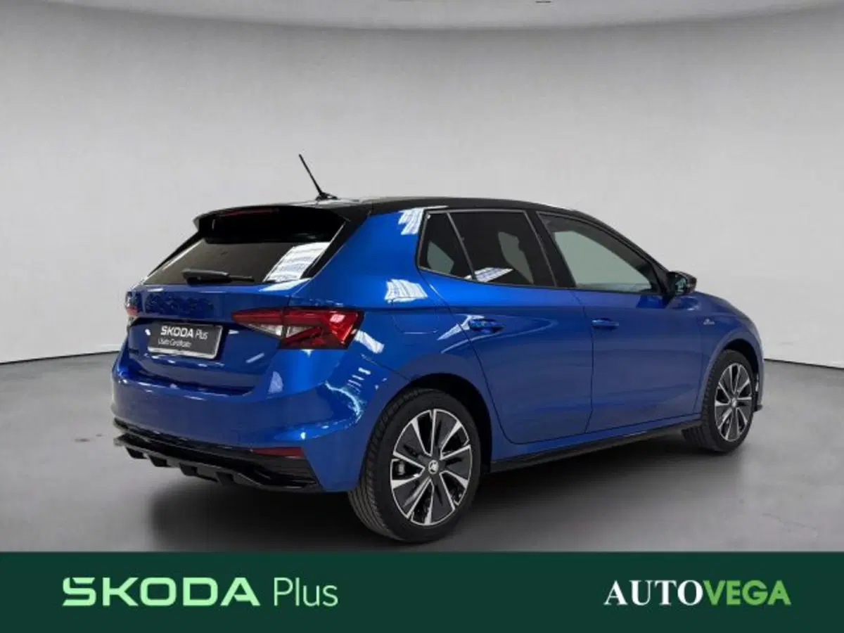 Skoda Fabia usata a Vicenza (4)