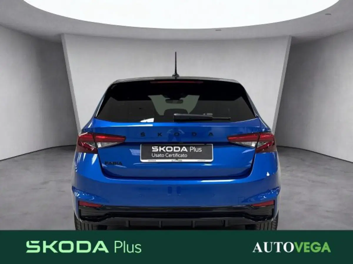Skoda Fabia usata a Vicenza (5)