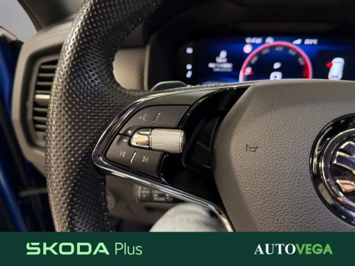 Skoda Kodiaq usata a Vicenza (16)