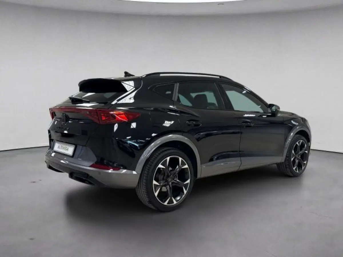 Cupra Formentor usata a Vicenza (4)