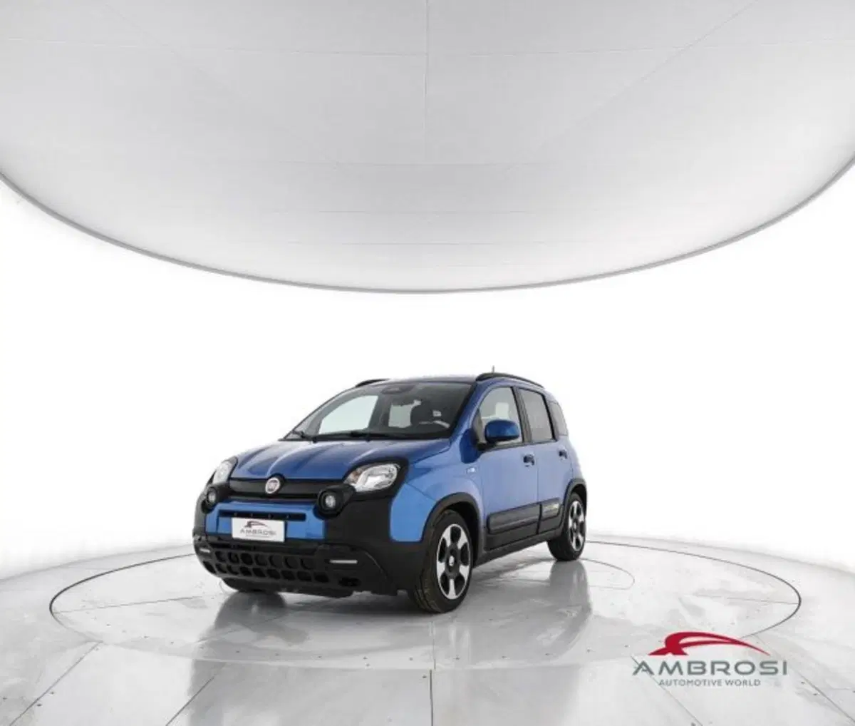 Fiat Panda Cross usata a Perugia