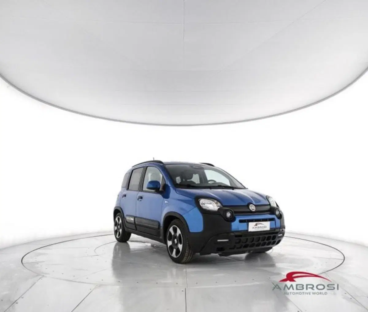 Fiat Panda Cross usata a Perugia (2)