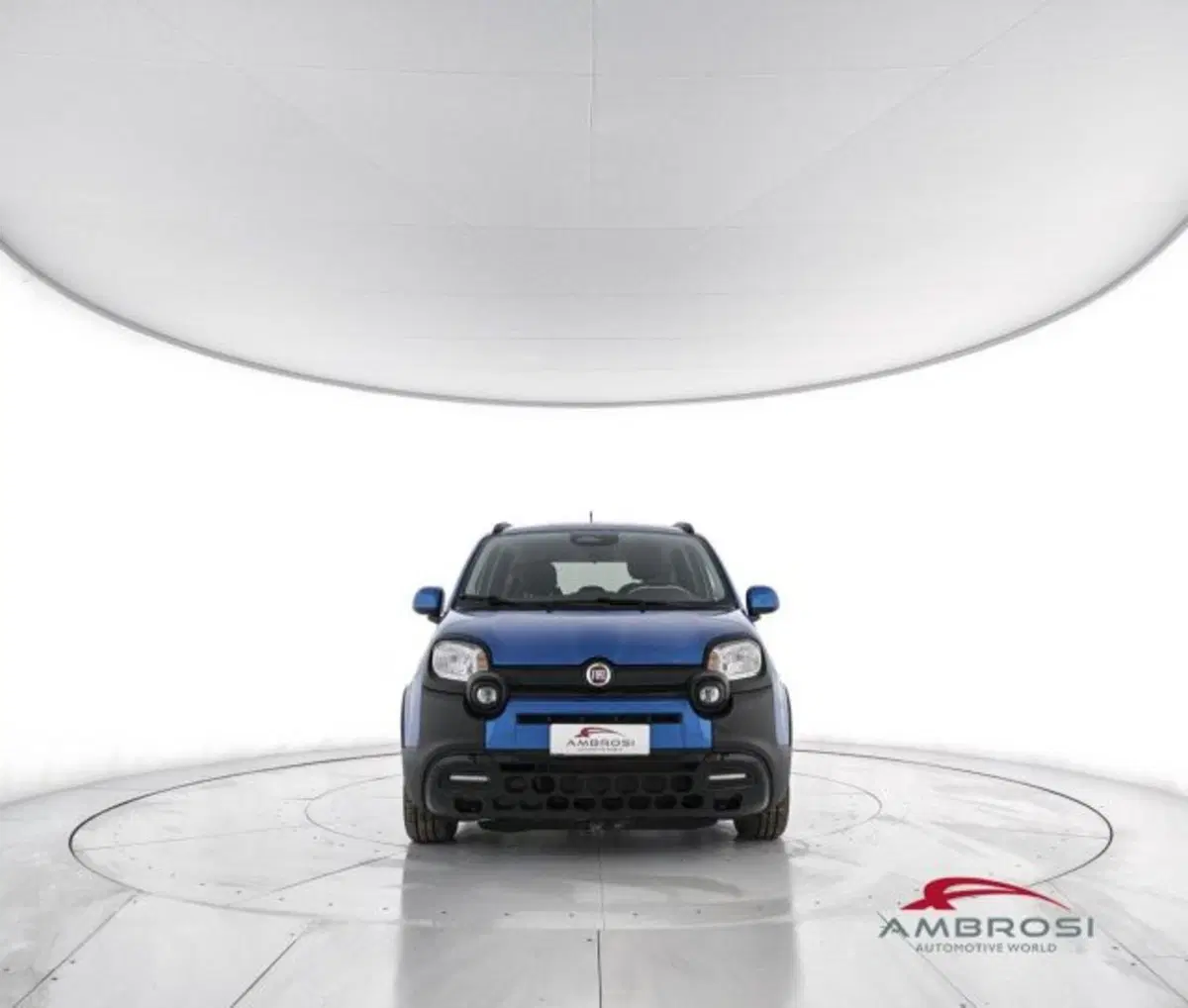 Fiat Panda Cross usata a Perugia (5)