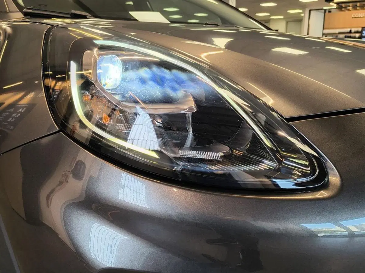 Ford Puma usata a Catanzaro (13)