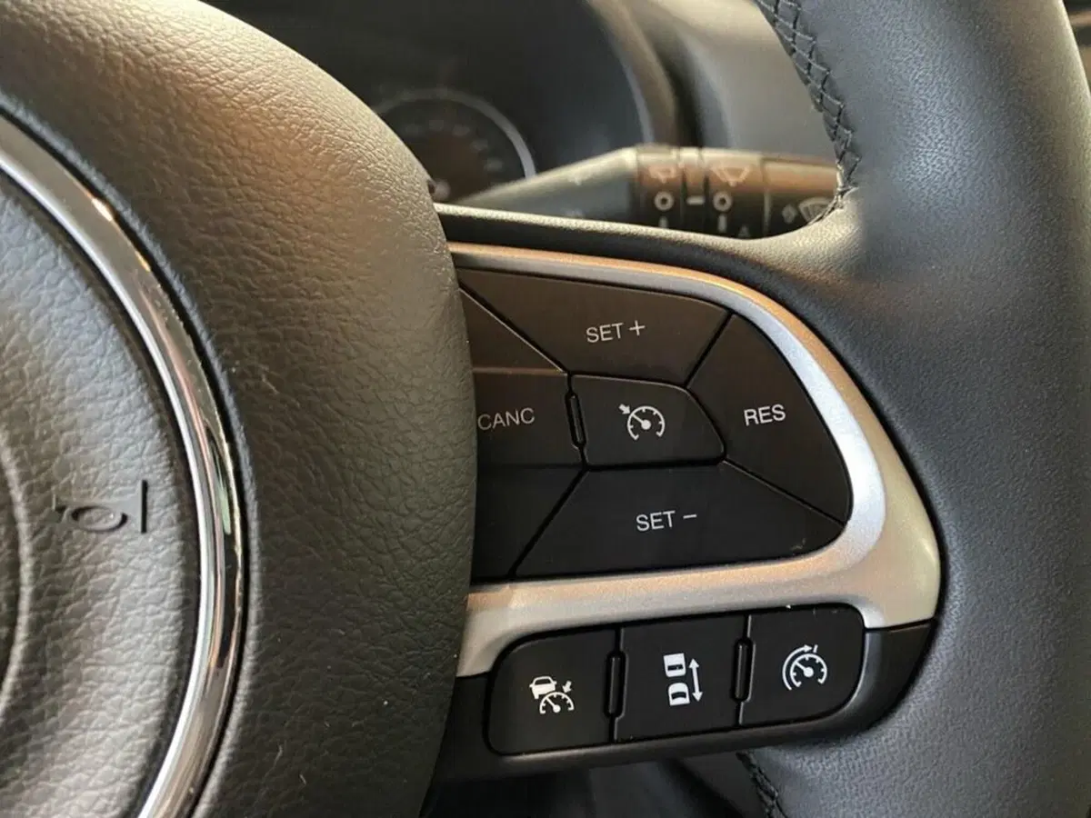 Jeep Renegade usata a Torino (13)