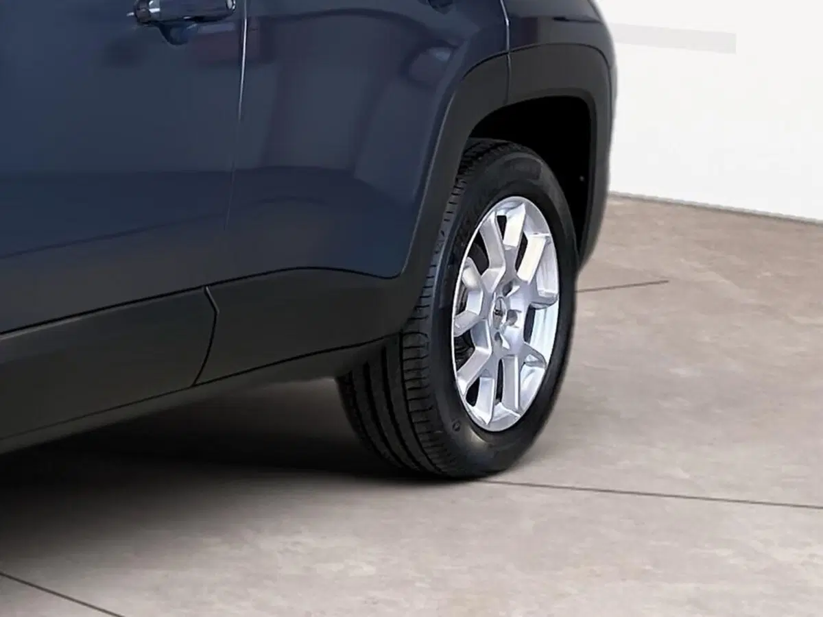 Jeep Renegade usata a Torino (15)