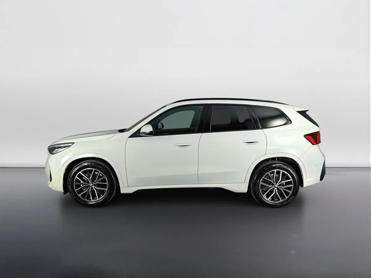 BMW X1 usata a Ascoli Piceno (6)