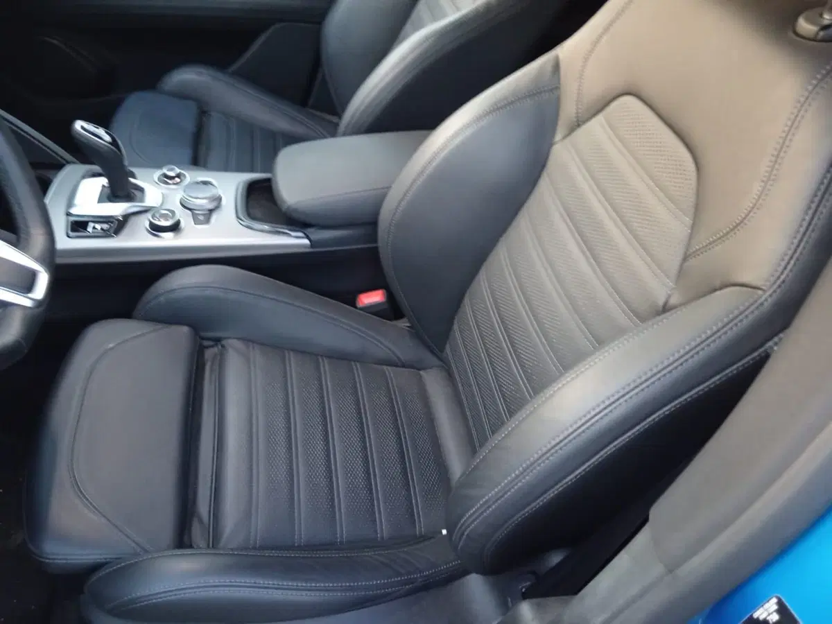 Alfa Romeo Stelvio usata a Alessandria (10)