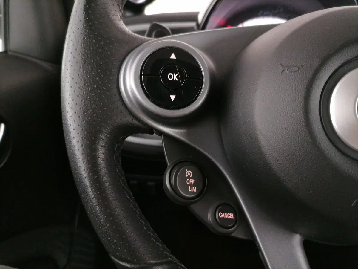 smart Fortwo usata a Roma (16)