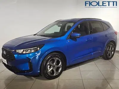 Ford Kuga 1.5 ecoboost Titanium 2wd 150cv del 2024 usata a Concesio