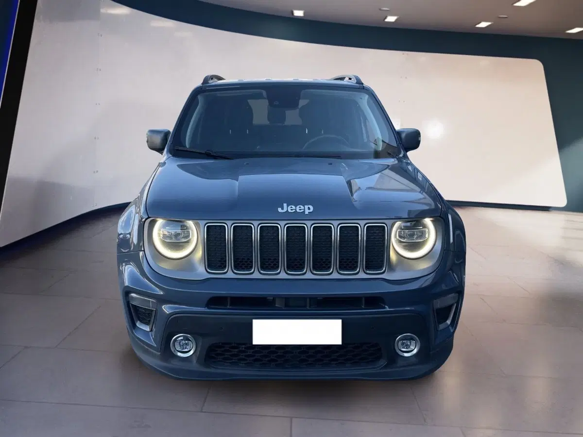 Jeep Renegade usata a Torino