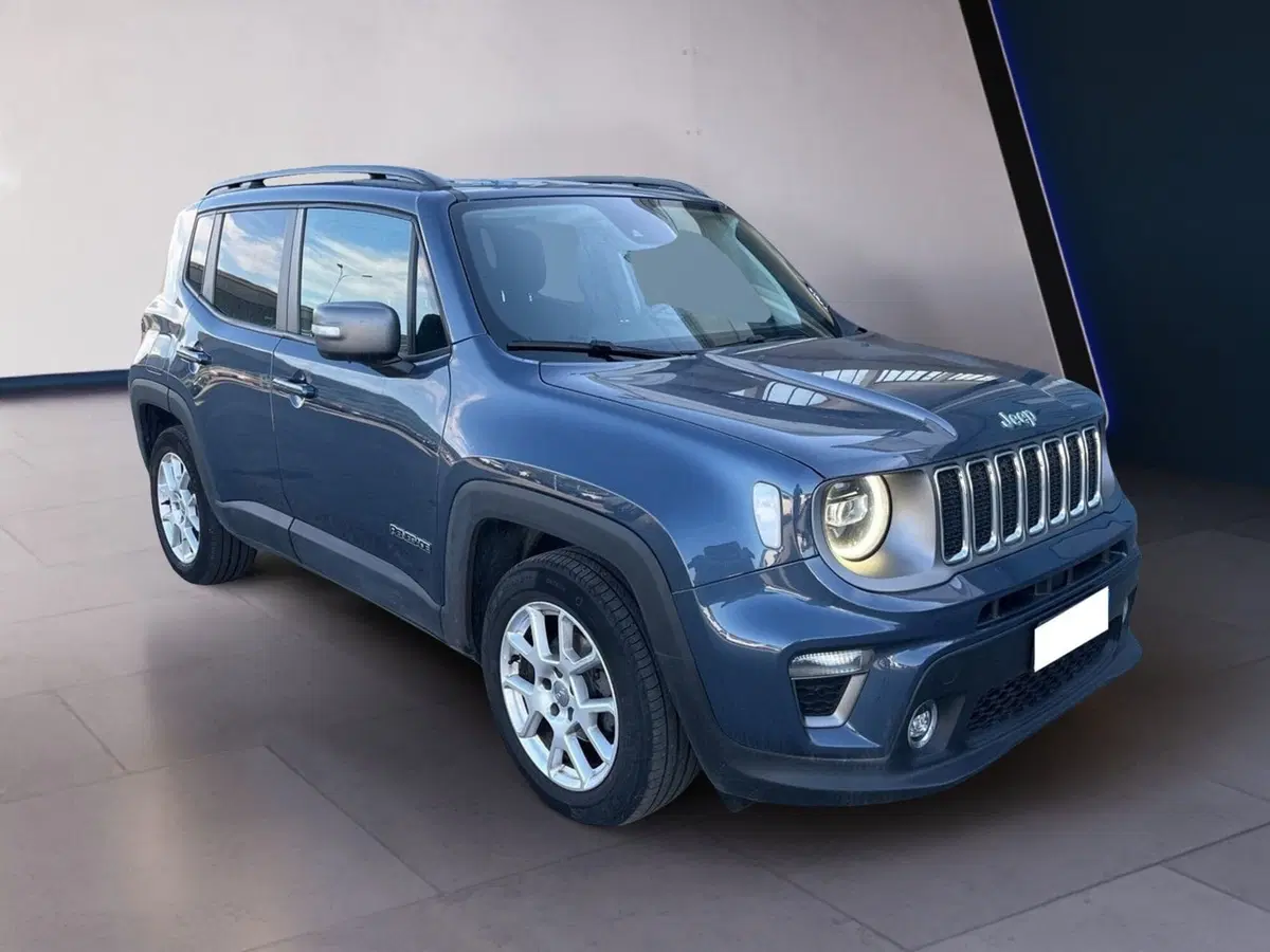 Jeep Renegade usata a Torino (3)