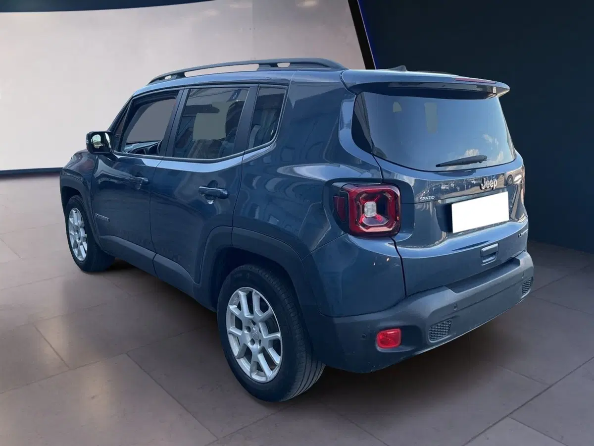 Jeep Renegade usata a Torino (6)