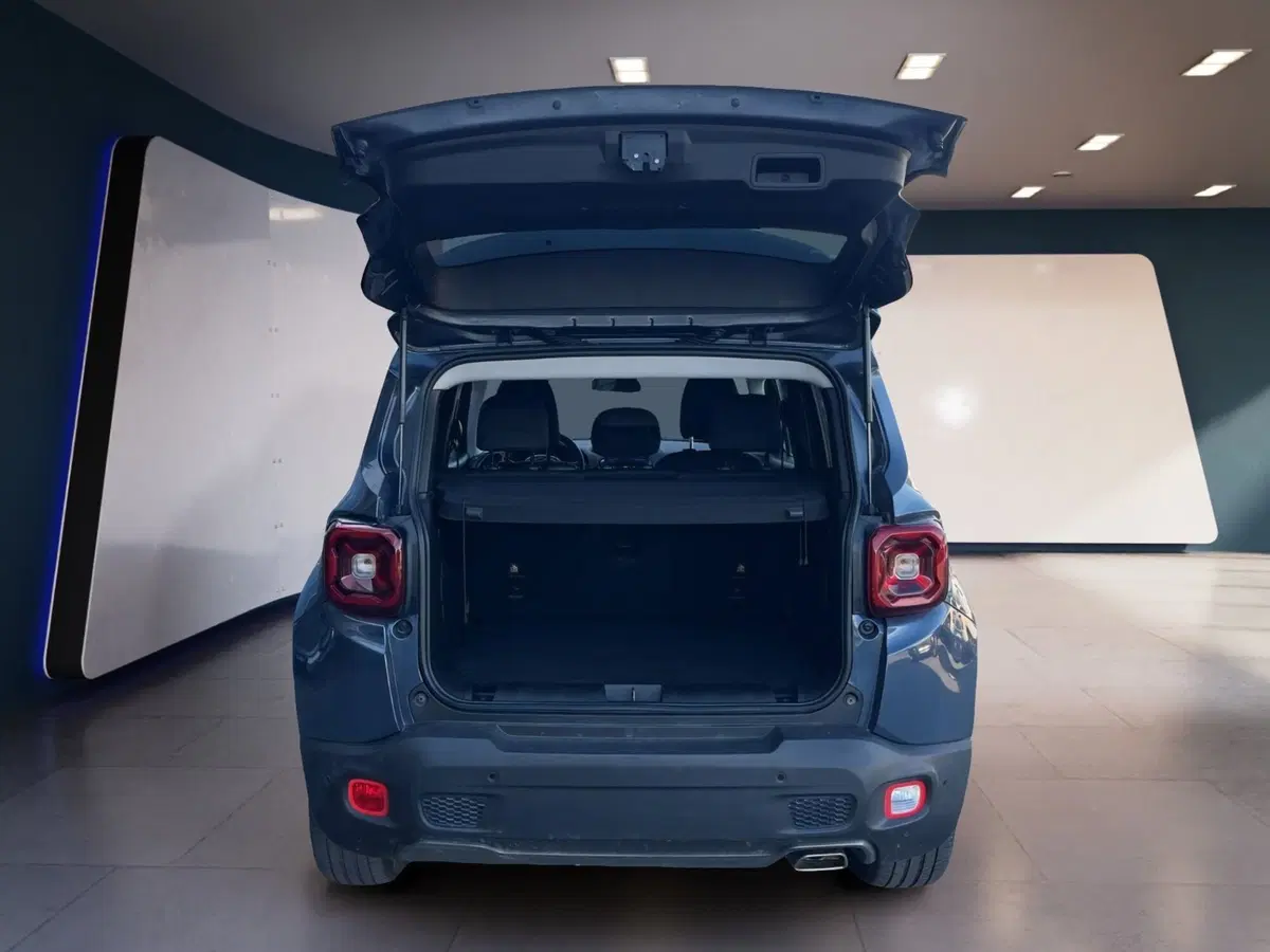 Jeep Renegade usata a Torino (7)