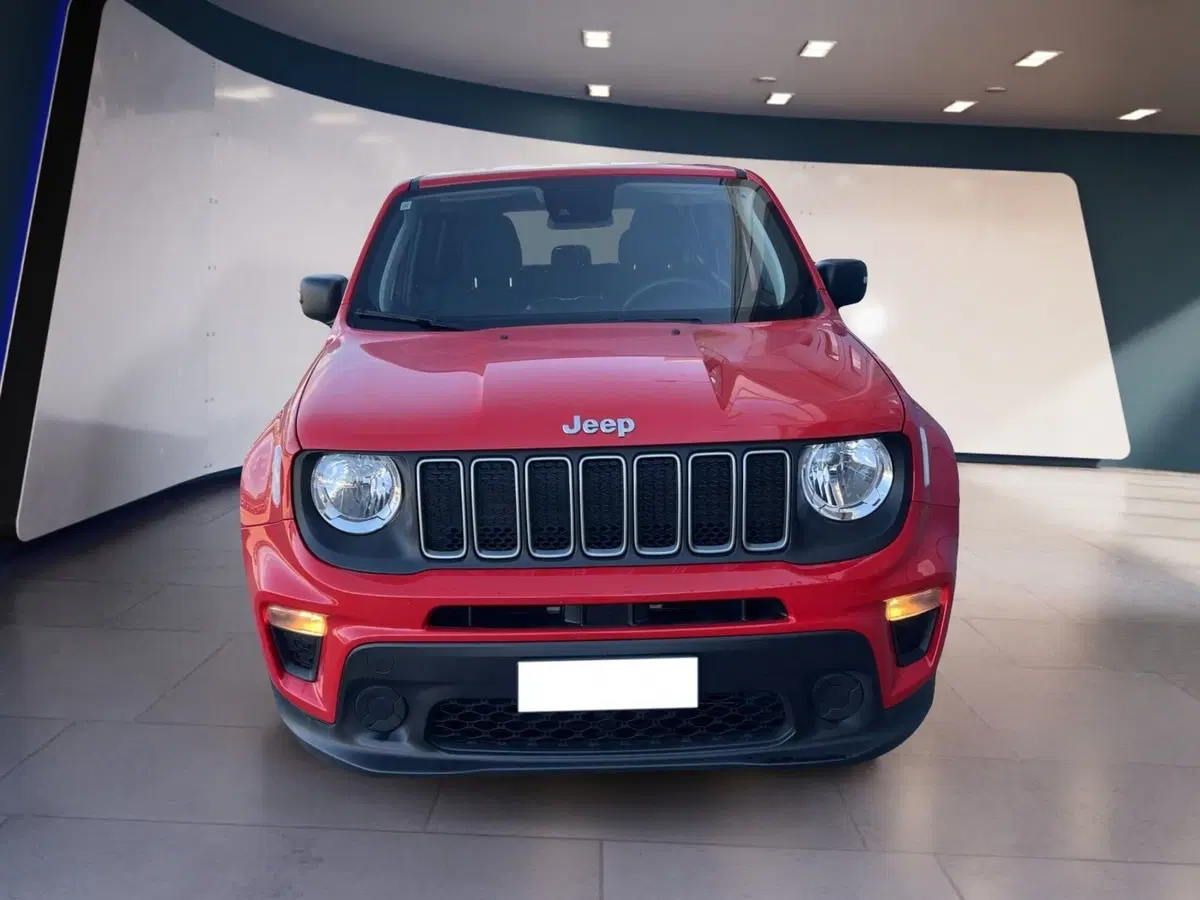 Jeep Renegade usata a Torino