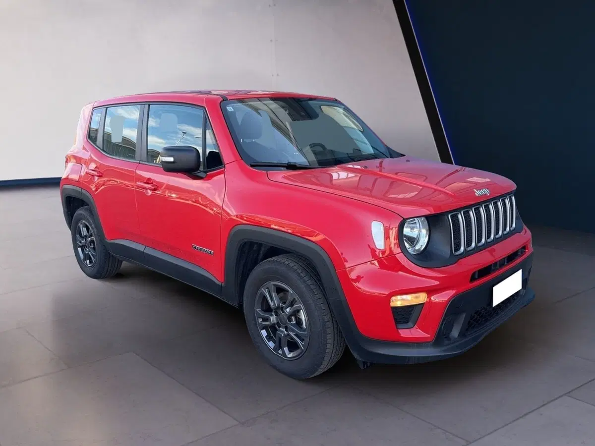 Jeep Renegade usata a Torino (3)