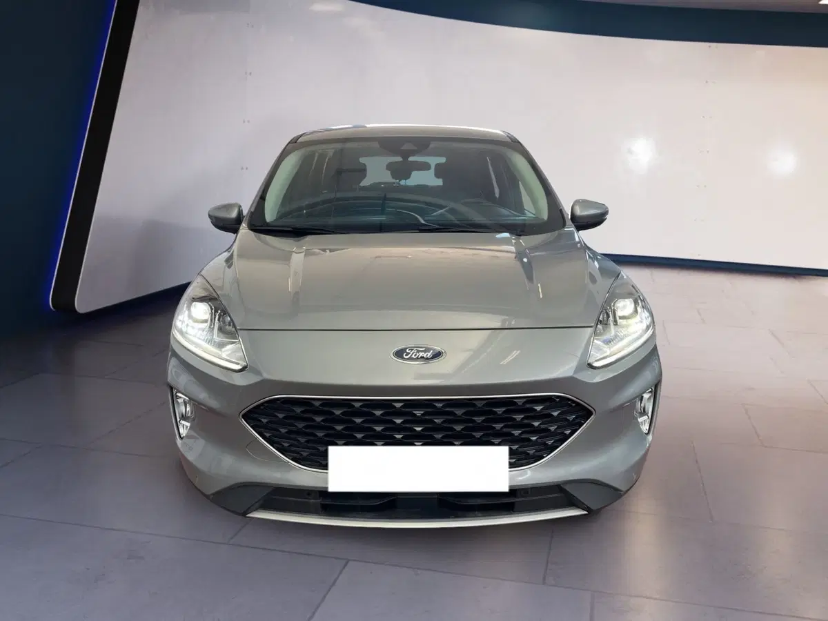 Ford Kuga usata a Torino