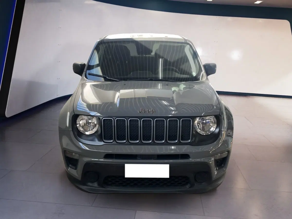 Jeep Renegade usata a Torino