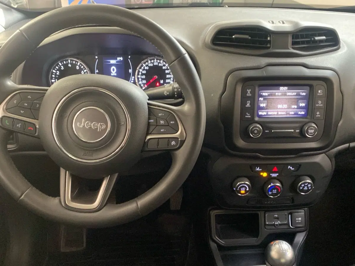 Jeep Renegade usata a Torino (4)