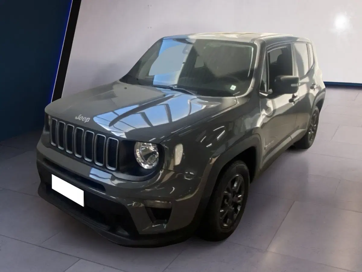 Jeep Renegade usata a Torino (8)