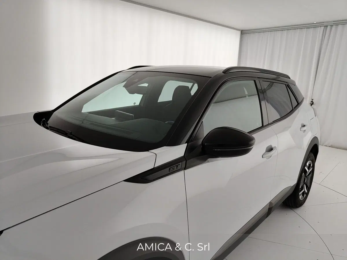 Peugeot 2008 usata a Caserta (14)