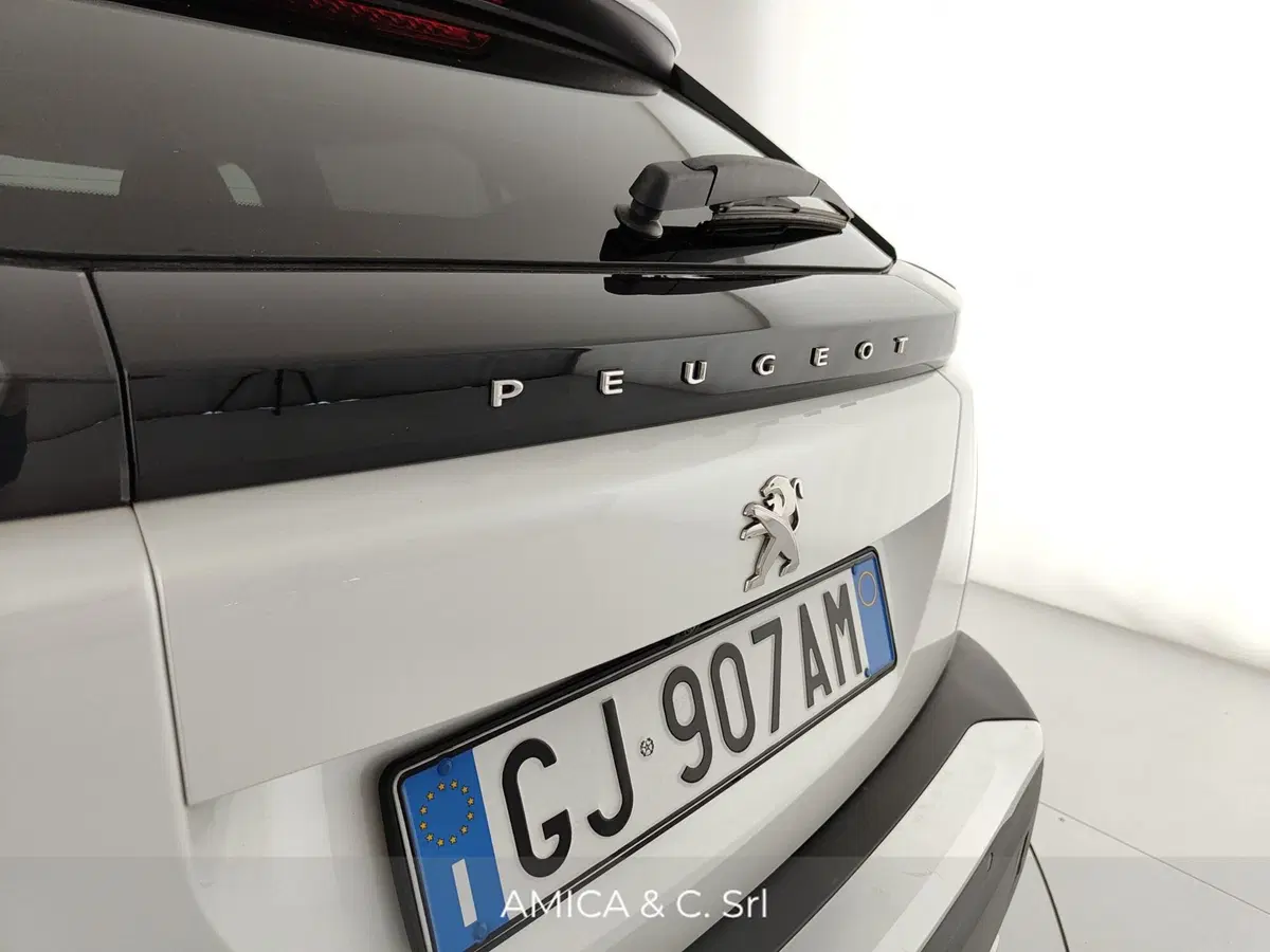 Peugeot 2008 usata a Caserta (10)