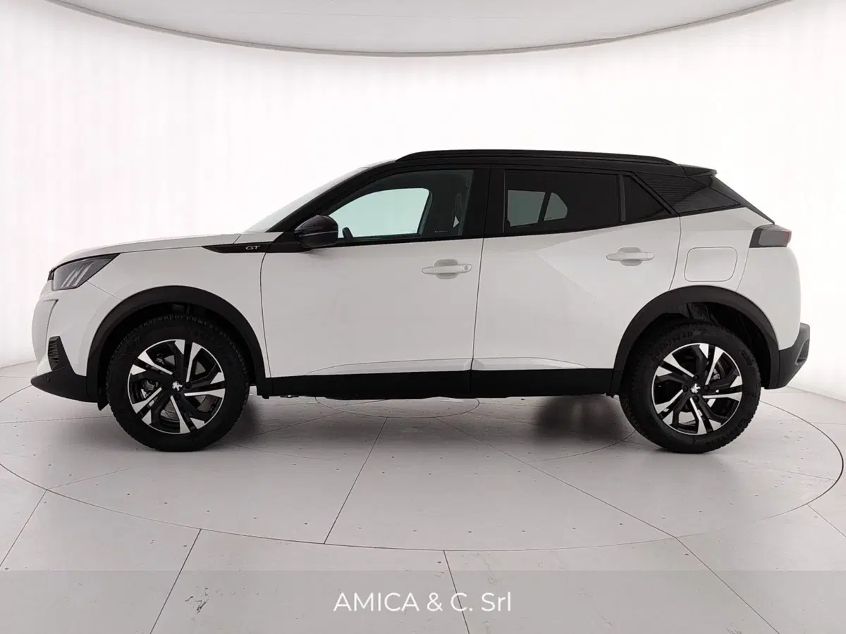 Peugeot 2008 usata a Caserta (4)