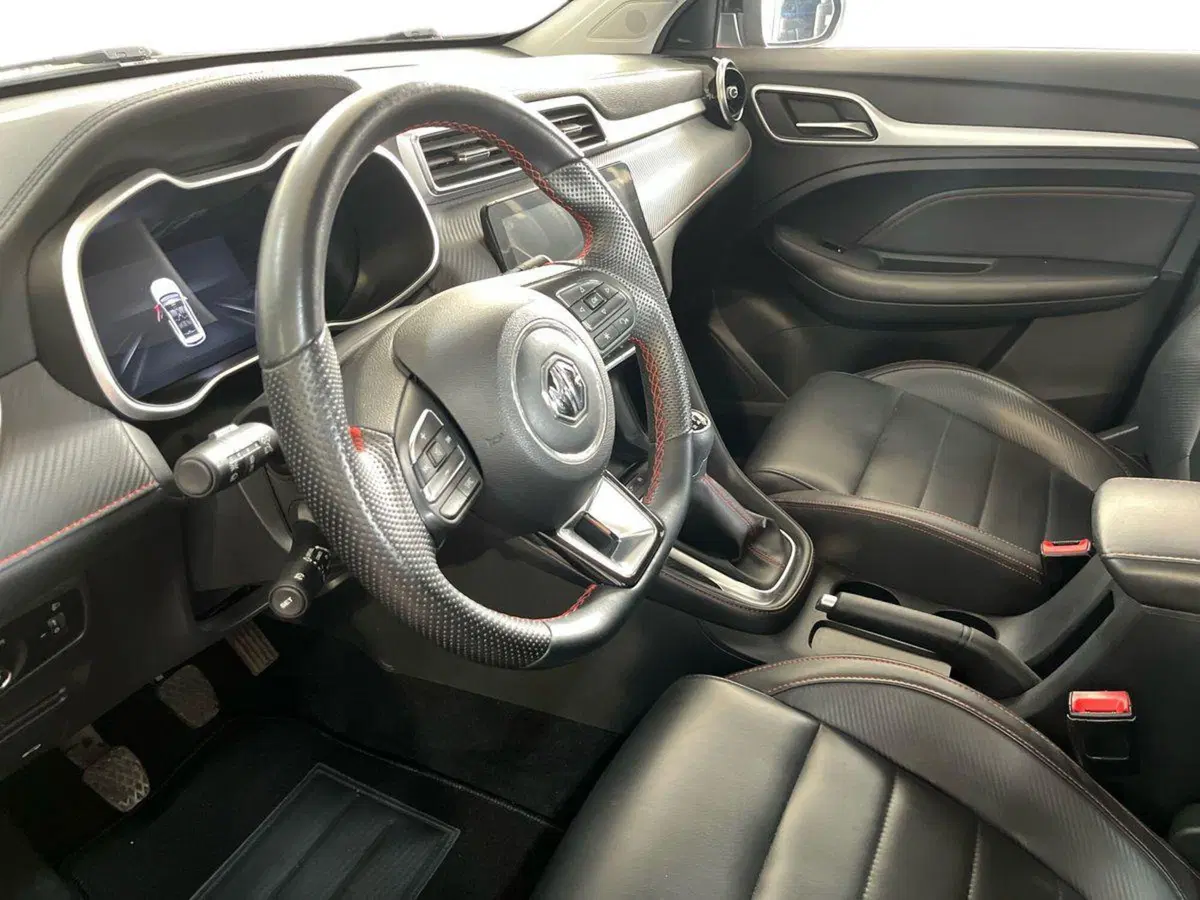 Mg ZS usata a Bari (7)