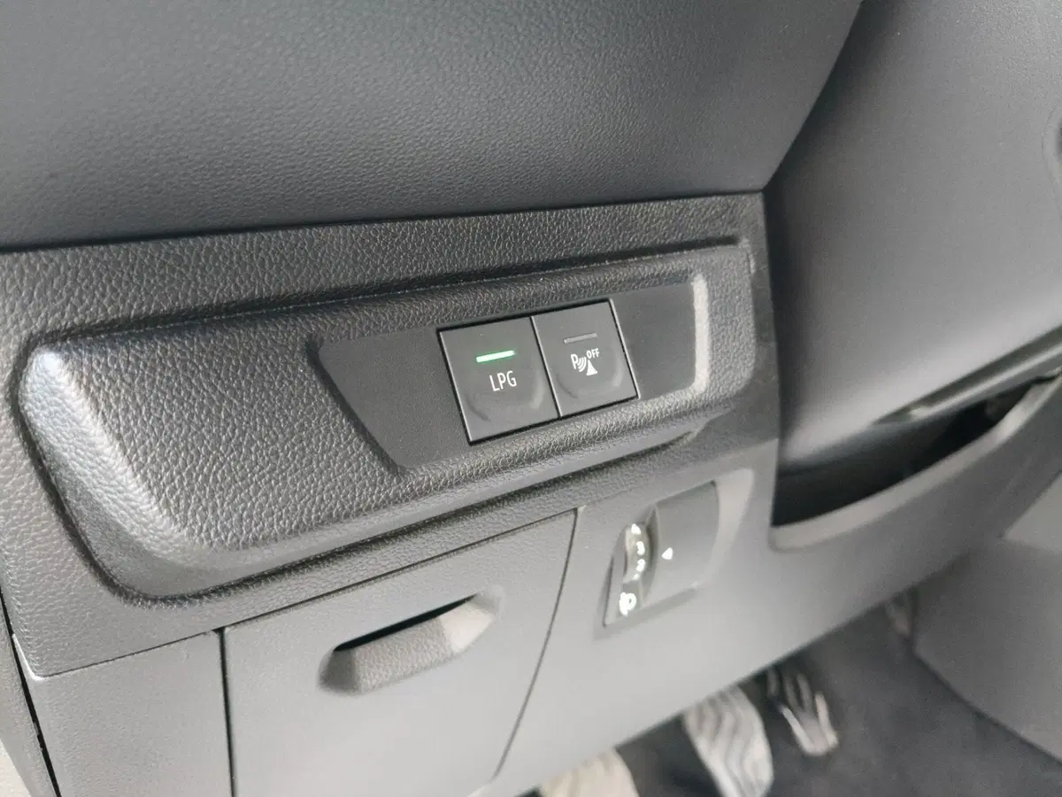 Dacia Sandero usata a Brescia (16)