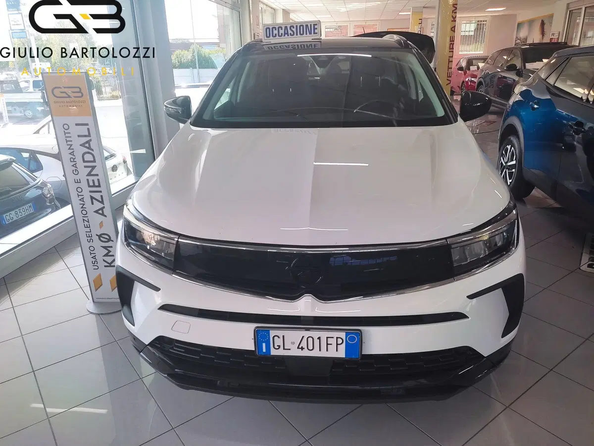 Opel Grandland usata a Prato (2)
