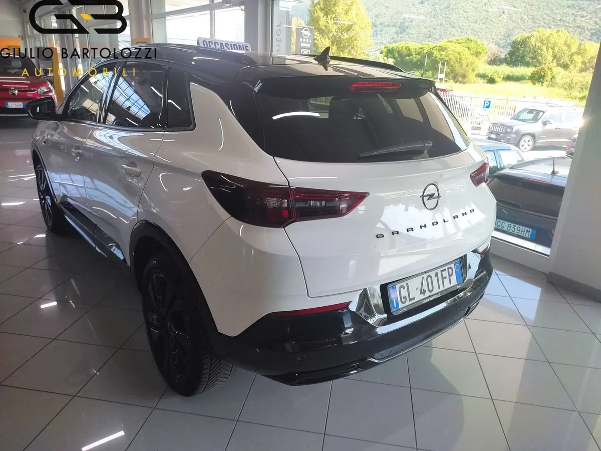 Opel Grandland usata a Prato (7)