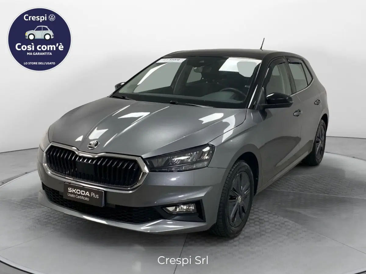 Skoda Fabia usata a Varese