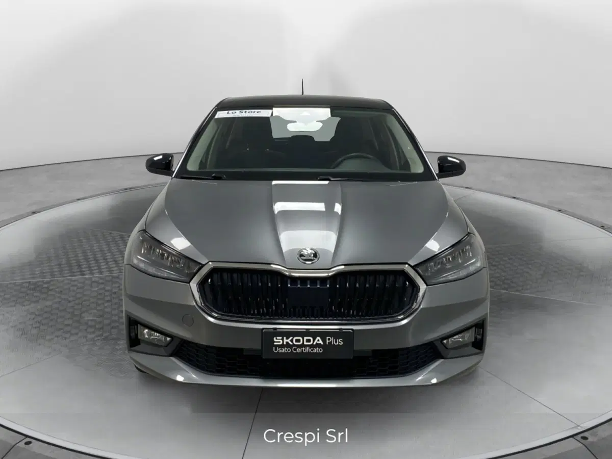 Skoda Fabia usata a Varese (2)