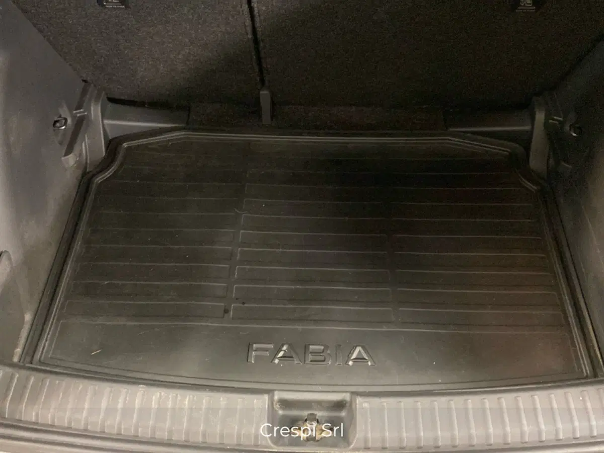 Skoda Fabia usata a Varese (20)